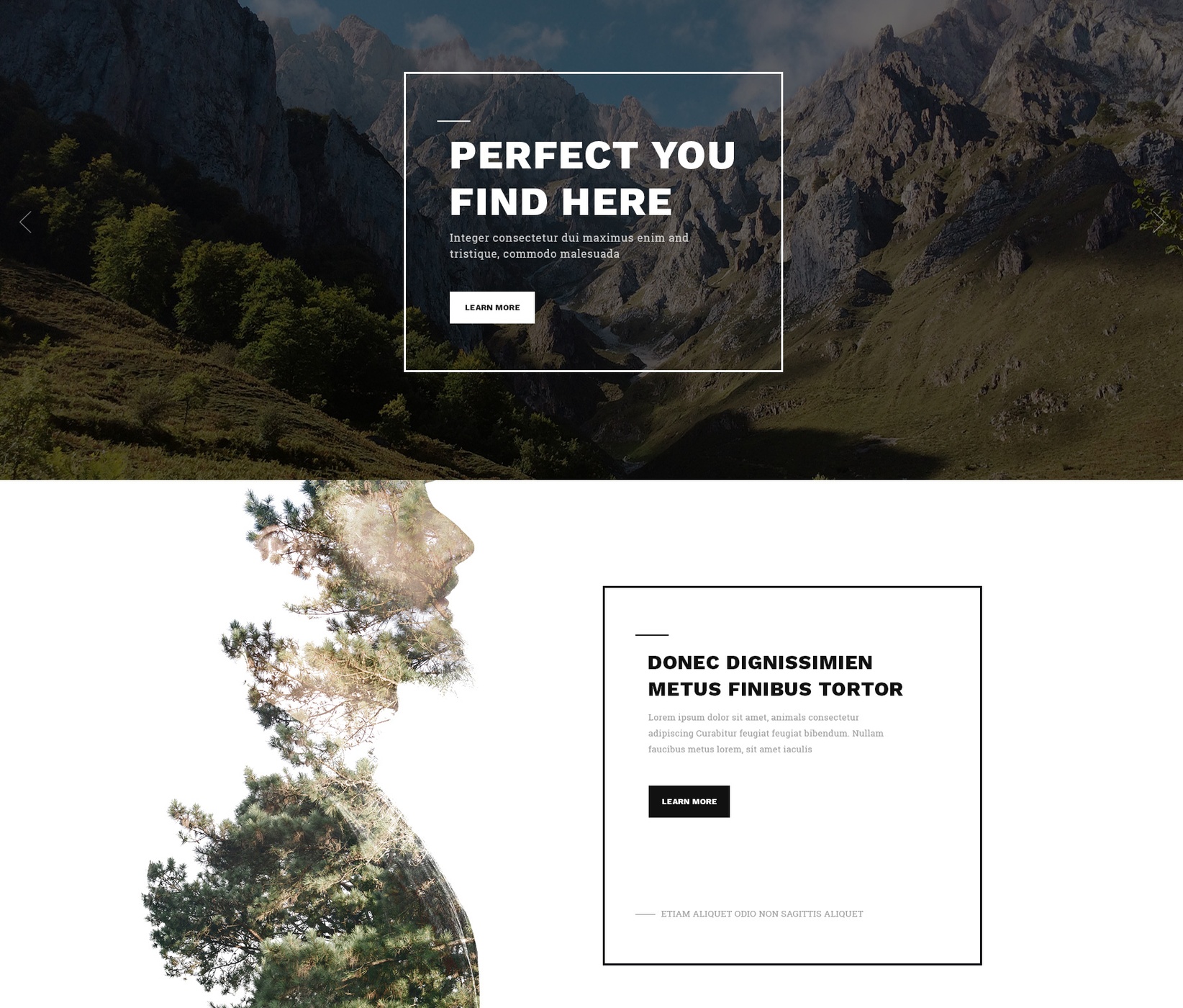 Free Download Bootstrap One Page Theme